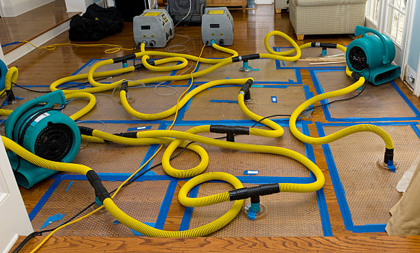 Professional Crawl Space Water Removal technician working in Meriden, CT